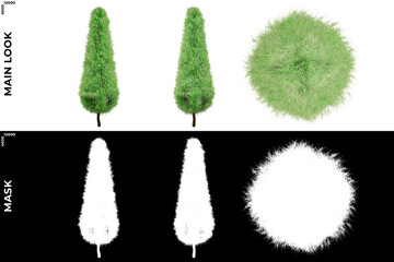 3D Rendering of Garden Plants (Residential or Commercial Space) with alpha mask to cutout and PNG editing. Vegetation for Nature Compositing