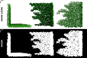 3D Rendering of Garden Plants (Residential or Commercial Space) with alpha mask to cutout and PNG editing. Vegetation for Nature Compositing