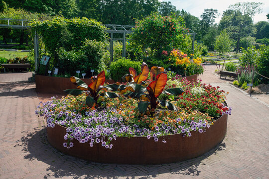 Idyllic  bright flower bed  with petunias  in Helsinki Kaisaniemi Botanical Garden