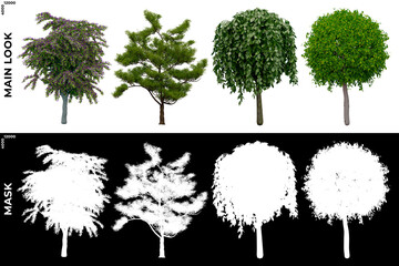 3D Rendering of Garden Plants (Residential or Commercial Space) with alpha mask to cutout and PNG editing. Vegetation for Nature Compositing