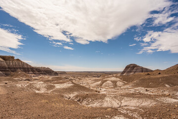 Blue Mesa Trail With Badlands Formations On Either Side