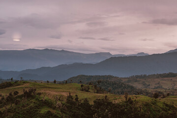 Nevado de santa isabel, vegetación de montaña paramo y hermosos frailejones de muchos años