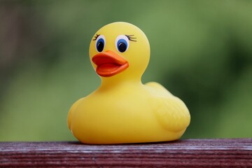 Yellow rubber duck sitting on a deck rail.