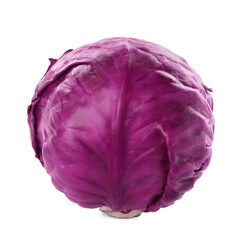 Obraz premium One fresh ripe red cabbage isolated on white