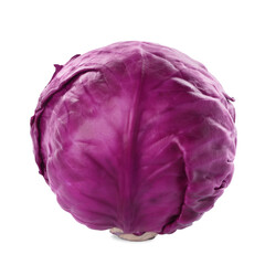 One fresh ripe red cabbage isolated on white