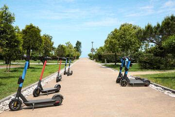 Many modern electric scooters in park. Rental service