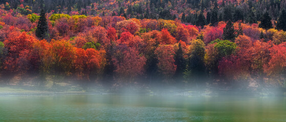 Fall foliage around Maple lake in Utah valley near Mt Nebo.
