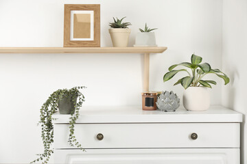 Modern chest of drawers with houseplants near white wall