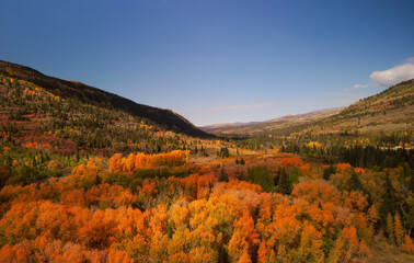 Aerial view of Bright autumn trees in Uinta Wasatch cache National forest, Utah. © SNEHIT PHOTO