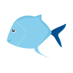 cute blue fish