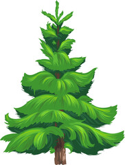 New Year tree isolated evergreen spruce