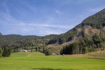Selective blur on a typical alpine landscape, a mountain glade, a clearing field in the middle of an alpine forest of triglav national park in Zgornje Jezersko, in the julian alps in Slovenia