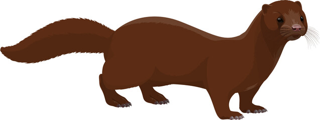 American mink vector brown animal