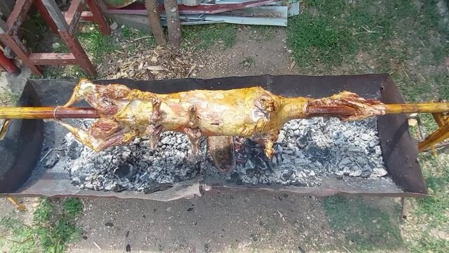 Lamb on a pole turning above hot burning logs and charcoal. Serbian traditional roasting for festivities and house celebration called slava.