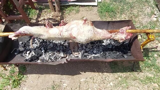 Lamb on a pole turning above hot burning logs and charcoal. Serbian traditional roasting for festivities and house celebration called slava.