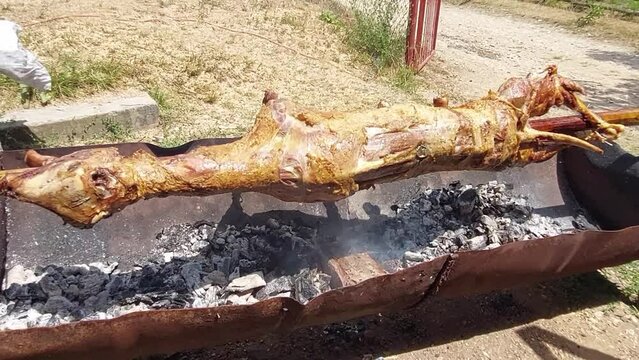 Lamb on a pole turning above hot burning logs and charcoal. Serbian traditional roasting for festivities and house celebration called slava.