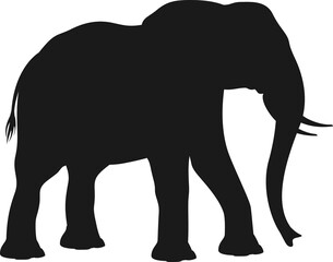 Elephant with trunk, two tusks isolated silhouette