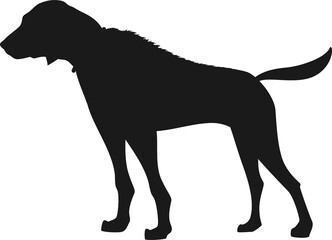 Dog pointer isolated silhouette, hunting breed