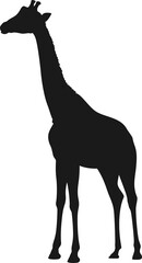 Wildlife animal giraffe isolated camelopard icon