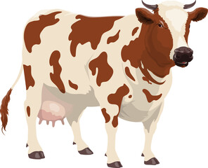 Farm cattle isolated cow heifer livestock animal