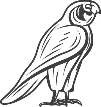 Egyptian falcon isolated Horus or Ra God bird icon