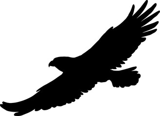 Hawk eagle isolated black bird flight silhouette