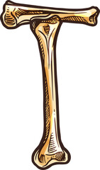 Human bones in shape of T letter ABC alphabet sign