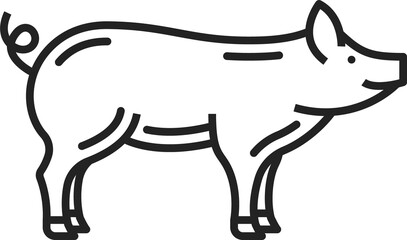 Piglet or pig livestock animal, butchery pork meat