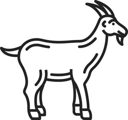Horned domestic animal goat, livestock mammal