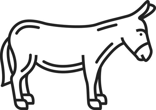 Pony horse or donkey isolated monochrome icon