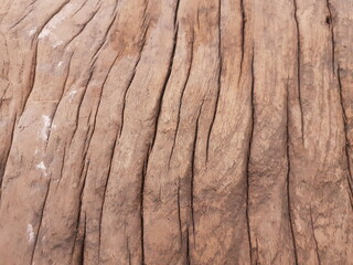 old wood plank, wood texture