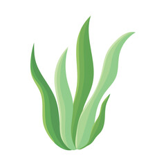 seaweed icon image