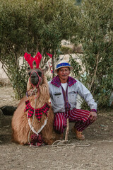 indigenous in the middle of the mountains of guatemala with llama and traditional costume - obrazy, fototapety, plakaty