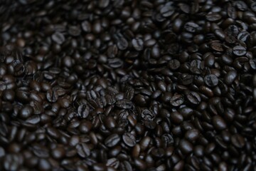 coffee beans close up