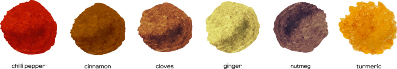 Watercolor dry kitchen spices: pepper, chili, curcuma, ginger, cardamom, nutmeg