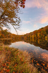 Naklejka premium autumn in the woods