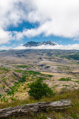 Fototapeta premium Mount St. Helens in Washington State