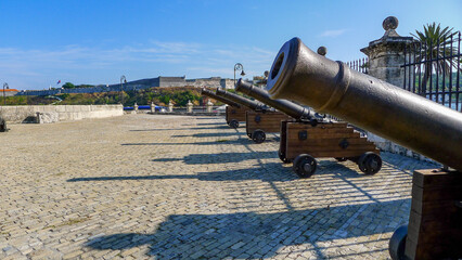 cannon in the fortress