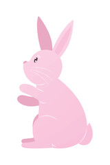 cute rabbit icon