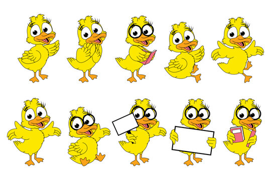 cute duck animal cartoon graphic