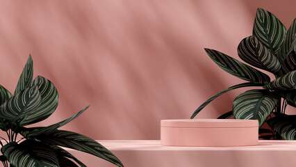Fototapeta na wymiar Landscape layout mockup 3d render of pink cylinder podium with pink stripe calathea background 