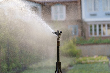 Automatic watering system sprays pressurized water on area with fresh plants and bushes. Care for...