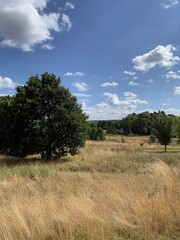 landscape with sky