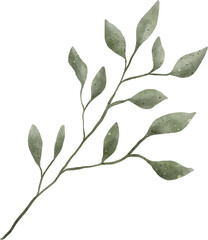 Leaf Watercolor Illustration