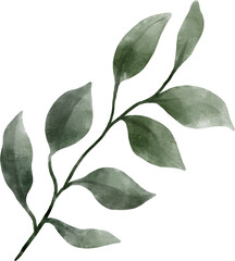 Fototapeta premium Leaf Watercolor Illustration