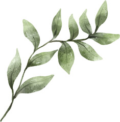 Leaf Watercolor Illustration