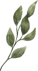 Leaf Watercolor Illustration