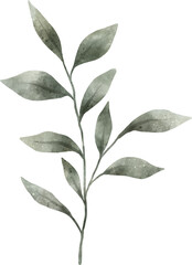 Leaf Watercolor Illustration