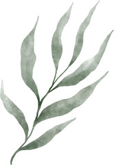 Leaf Watercolor Illustration