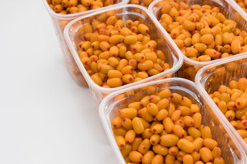 Harvest of ripe juicy sea buckthorn in containers prepared for sale and freezing for storage